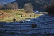 奈良の風景　Ｓカメラマン